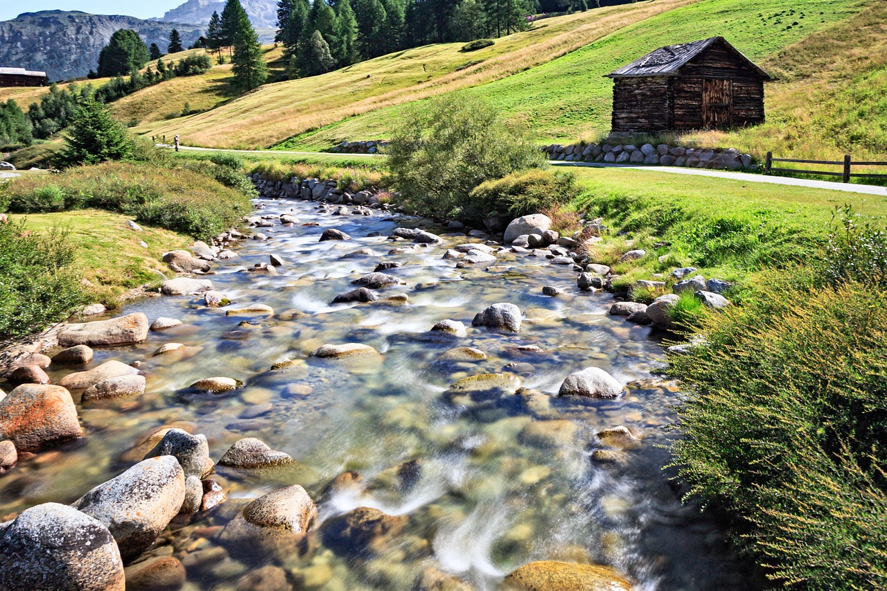 7 motivi per cui molte famiglie trascurano l'importanza dell'acqua pura